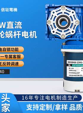 60W蜗轮蜗杆减速电机RV40大力矩直流电动机正反转调速马达12v24v