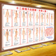 十二经络穴位图解墙纸中医学宣传养生馆背景展板壁画任督二脉壁纸