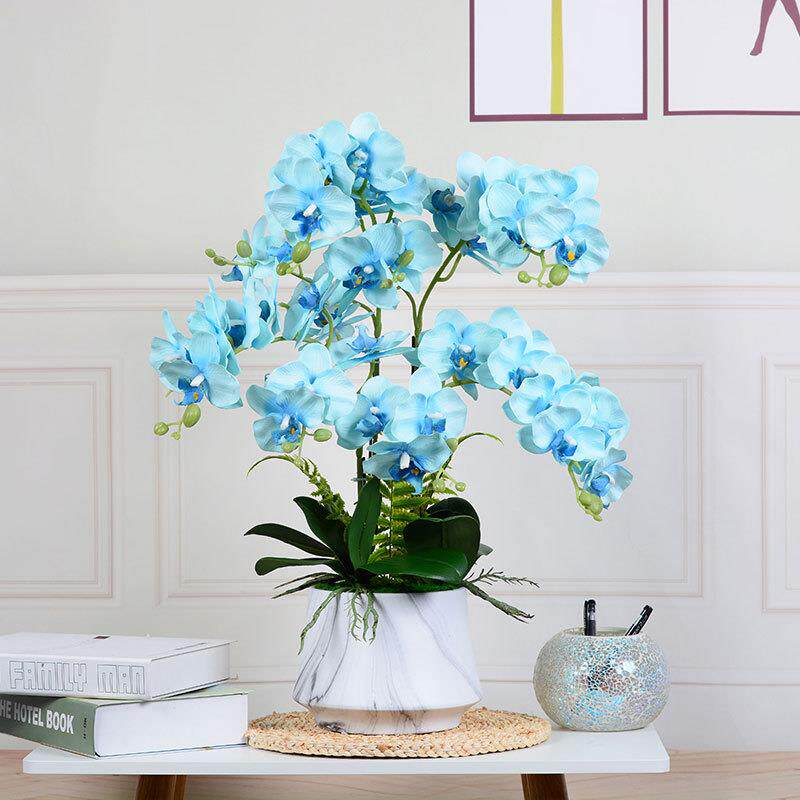 蝴蝶兰仿花盆栽套装大假束摆客厅盆景件落LMX地装饰真摆设高档绢