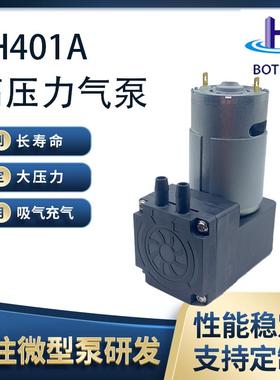 10L250Kpa低振动高流量高压力微型隔膜气泵美容保健按摩充气泵