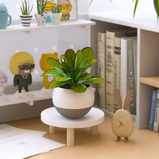 桌面花架办公桌多肉盆栽小型增高架迷你花盆植物架托架绿植摆放架