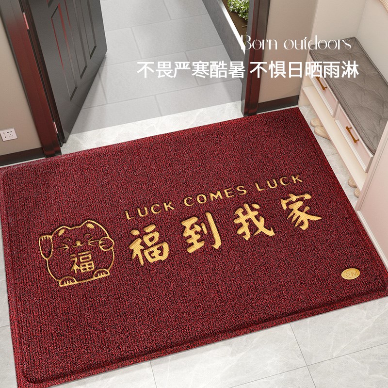 入户门垫进门地垫家用大门口丝圈脚垫门外入门耐脏玄关进户门地毯