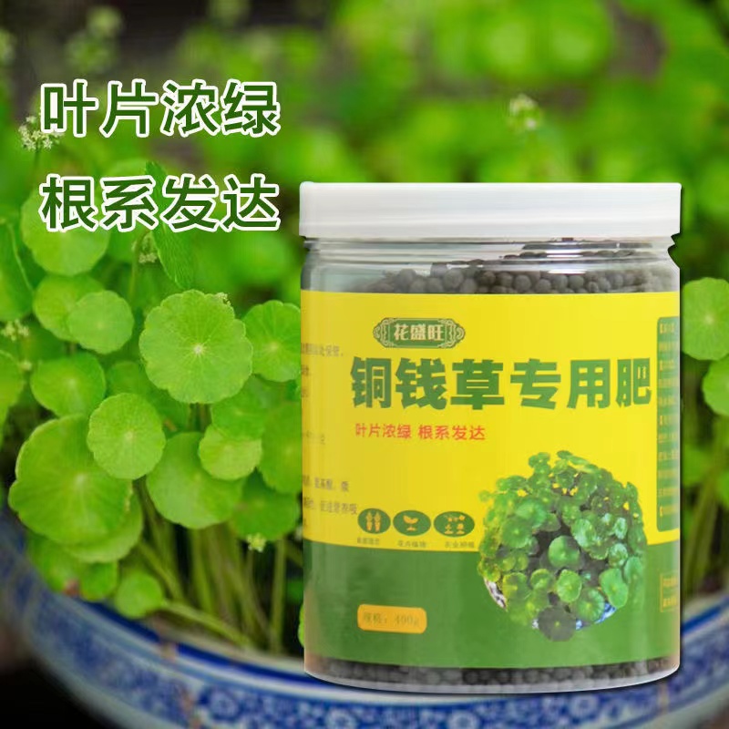 铜钱草专用肥铜钱草肥料水培营养液通用型绿植盆栽颗粒缓释复合肥