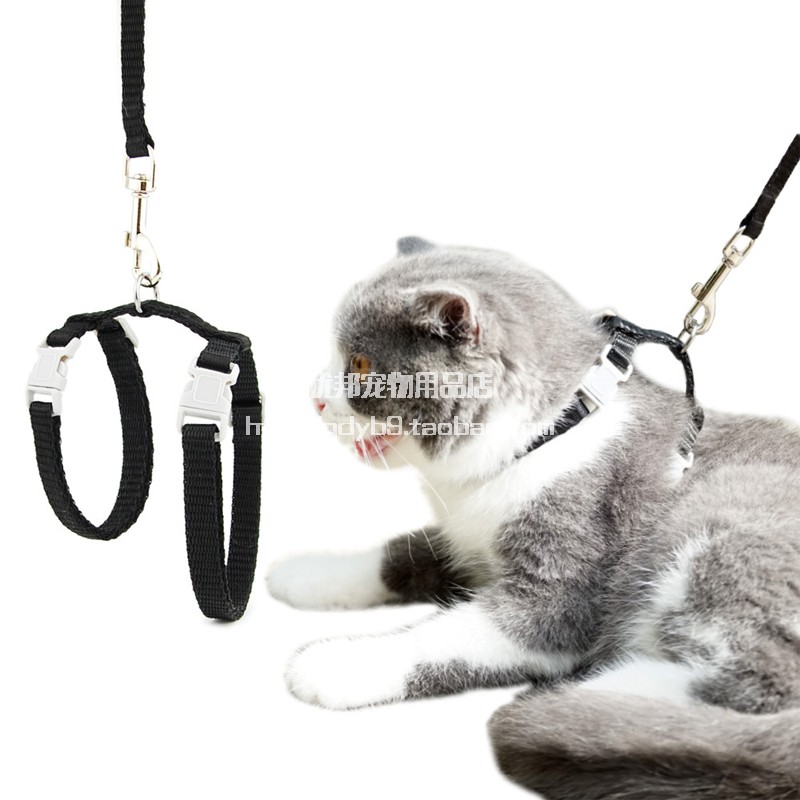 遛猫绳猫咪牵引绳防挣脱猫链子牵引泰迪小型犬工字式外出溜猫绳子