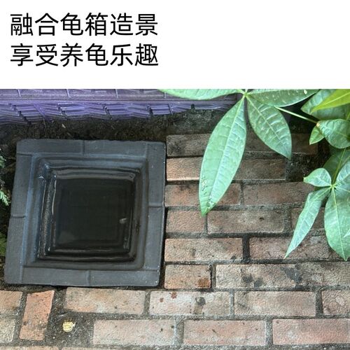 黄缘龟专用分体式水盆乌龟泡澡盆安缘喝水盘半水龟缸生态造景用品
