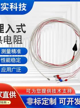 WZPQ2-E30-50分度号pt100规格3*6*3000mm*50mm适用化工行业耐高温