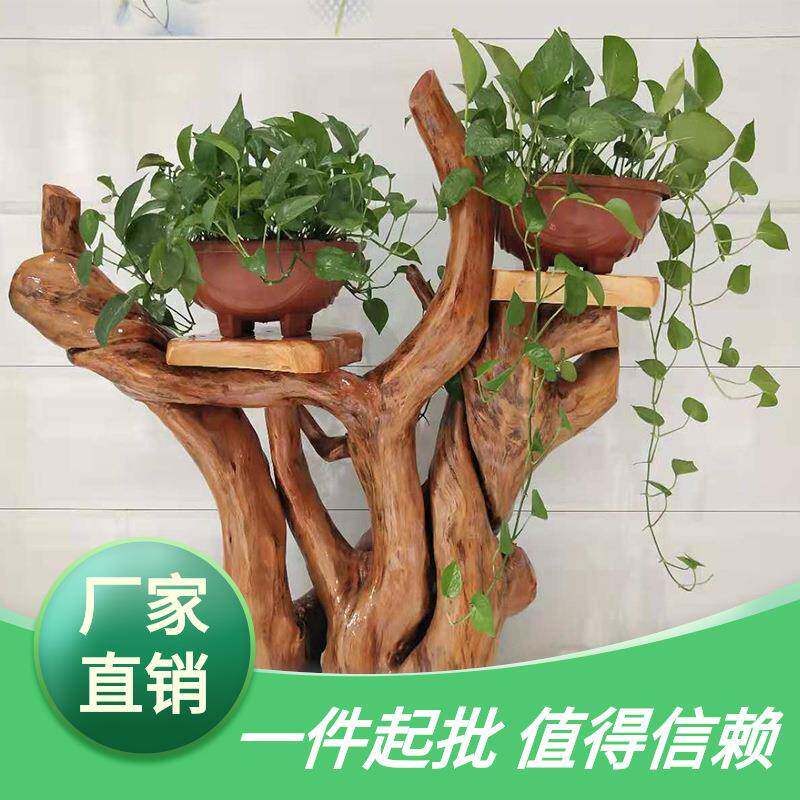 根雕树根天然原木客厅底座花架根艺鱼缸实木多层盆景摆件随形绿萝