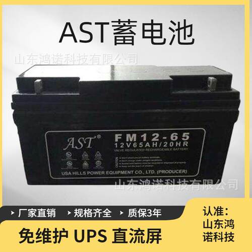 AST艾斯特蓄电池ST12-12储能环保型12V12AHUPS控制柜不间断电源