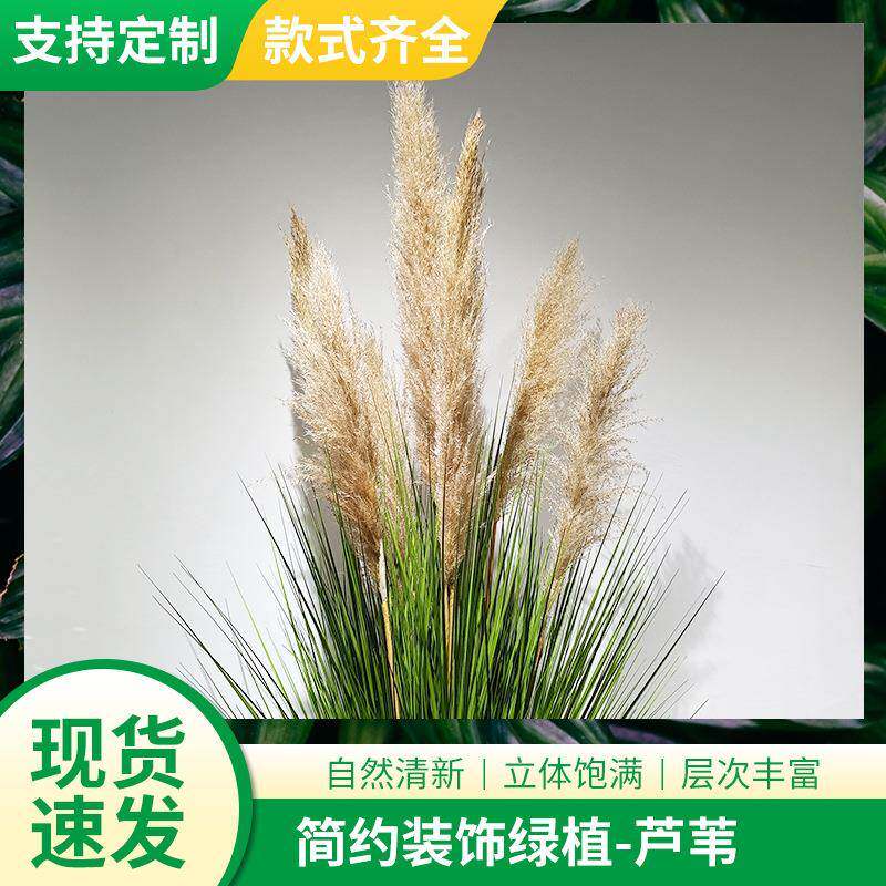 新款仿真芦苇蒲苇草干花装饰大芦苇花卉绿植物盆栽室内大型绿植