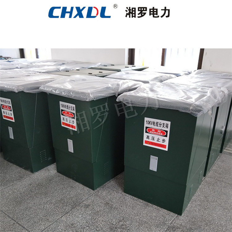 2.0厚不锈钢外壳原色10KV一进三出欧式电缆分支箱带电缆接头DFW