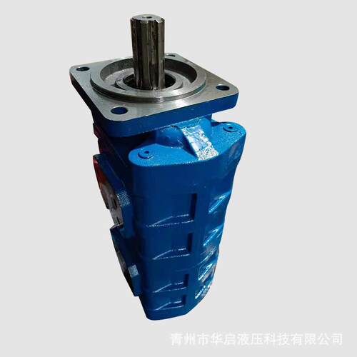 CBG2100-2080双联齿轮泵扒渣机双联齿轮油泵抗磨抗压液压齿轮泵