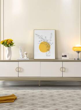 轻收柜合奢白色款茶几电视柜组实木EZD柜客厅储物纳法式斗柜轻奢