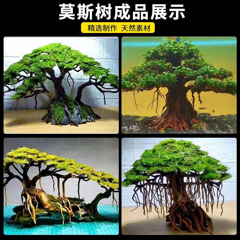 无鱼缸景骨莫斯摆树架成品沉木杜鹃根造青龙石迎客松树根件草缸装