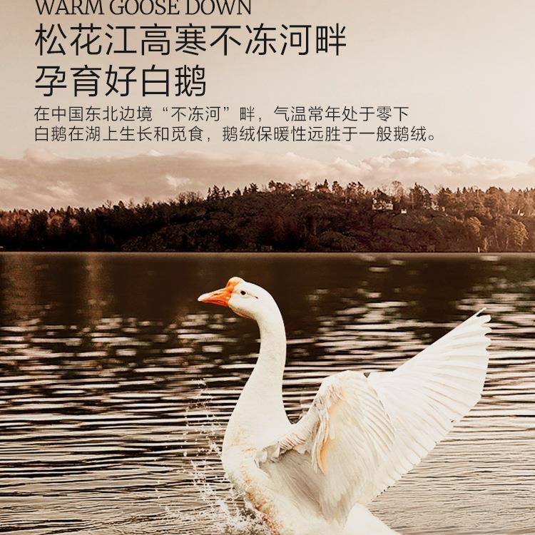 家纺羽绒被9高5冬白鹅绒春秋被加保暖F95H5T被蓬松被厚子纯棉