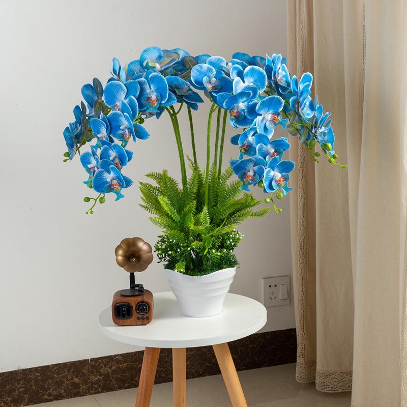蝴蝶兰真花盆景套装假花兰花盆件栽客3D打印蝴厅餐桌摆品室仿内装