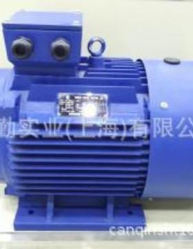 EMZ-UNITEC电机，EMZ-UNITEC三相电机