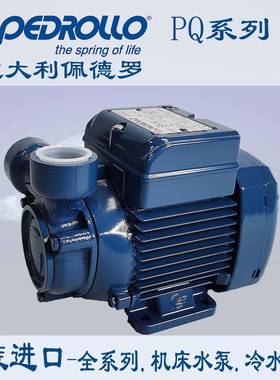 意大利佩德罗PEDROLLO水泵PQ60/pq60增压泵电动铸铁