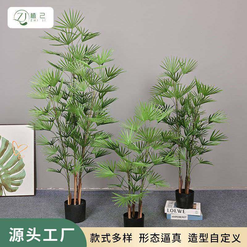 反正绿植金山棕落地盆栽假树装饰室内家居植物造景摆件金山棕,节庆用品/礼品,新娘配件,淘宝优惠券,粉丝福利购,淘宝优惠卷