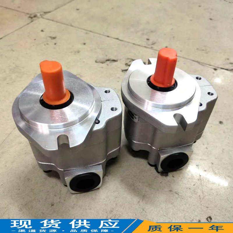 齿轮油泵G5-5/6/8/10/12/16/20/25-1FE13F-20RG5Q-30-1E13F-20-