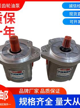 齿轮油泵CBK1016-B1FR四川长江液压泵CBK1012-B2TL高压泵动力油泵