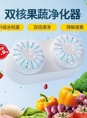 双核无线果蔬清洗净化器家用食材果蔬机杀菌去除农残洗菜机清洗机