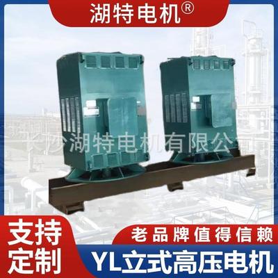 TLIYM大水泵用立型式同步L电动机TKS机系列高压同步电YL生产厂家