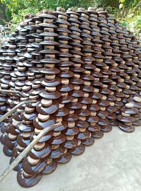 电站用针式支柱绝缘子电解铝厂用电解槽支绝缘子ZPD1-0ZPD-AGL撑3