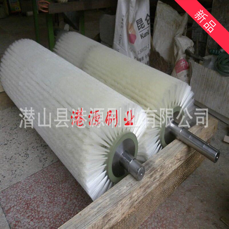 尼龙工业毛刷辊玻璃果蔬清洗机