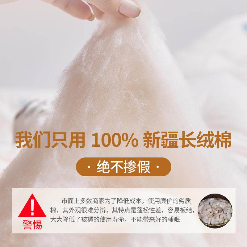 床垫子软垫花垫单被褥子家棉用卧室秋冬季保暖加厚学生舍LLA宿人