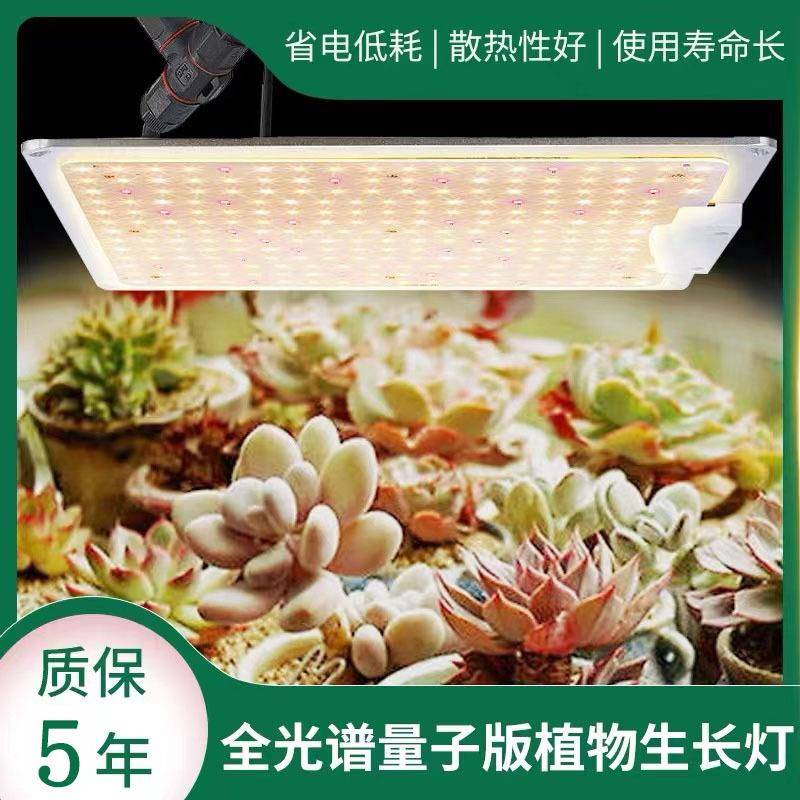 量子板植物补光灯LED全灯光谱1000AQHW调光子板植物生量长20W仿太图片