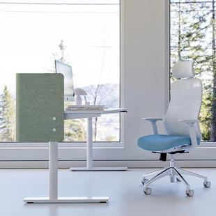 LINAK力克电动工升降桌可调节单电940可升降纳作台电机脑办公桌架