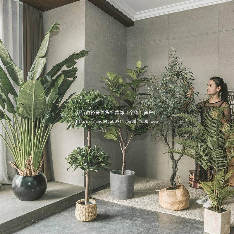 假绿轻奢室内氛围装饰假树落盆栽摆地件仿生植物植买家秀征集植物