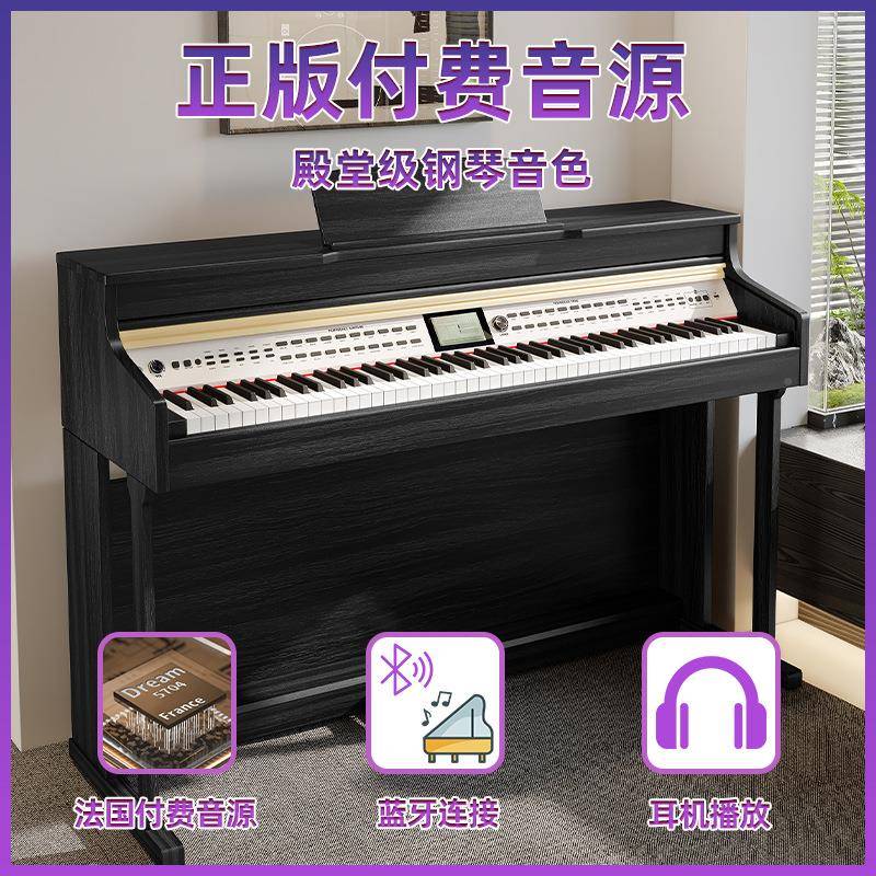 eG镭emChaLGC-5881rr晶彩演奏级电钢琴88键重琴锤多功能立式电钢L