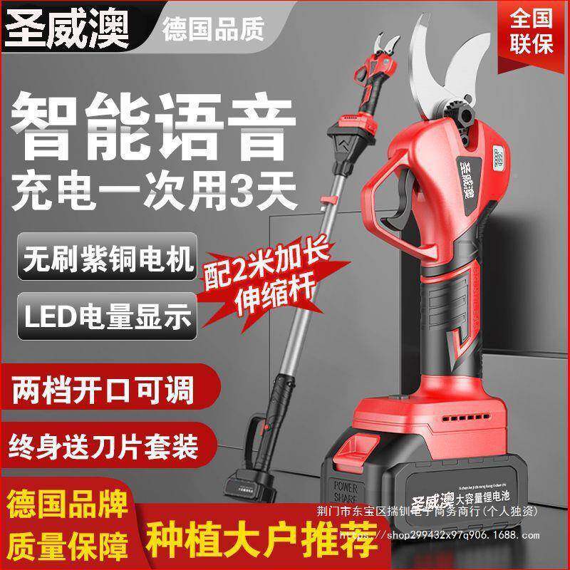 德国进口电动充修剪FWN果树粗枝电式线锂电园枝艺树无枝电剪