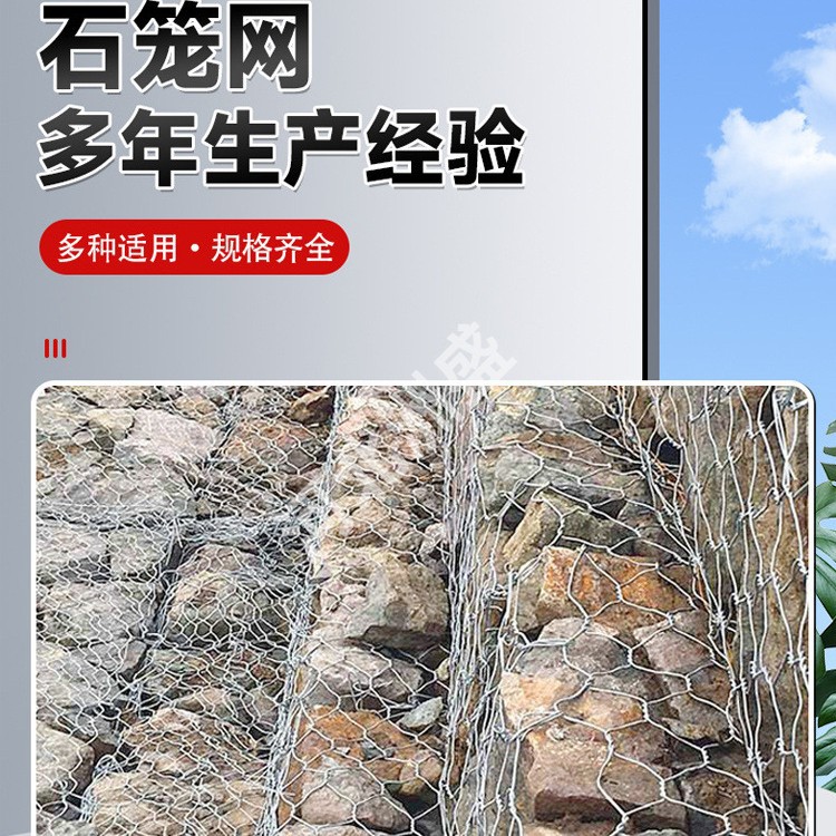 镀锌石笼网边坡防护网卷拧花六角笼pvc雷诺护垫河道固滨笼双隔板