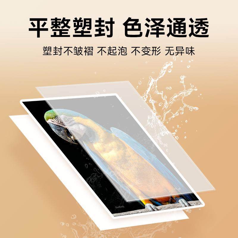 塑封机63用小型照片过塑机相片寸5寸寸优雅白丨7/8寸A4覆家膜机办,办公设备/耗材/相关服务,塑封机,淘宝优惠券,粉丝福利购,淘宝优惠卷