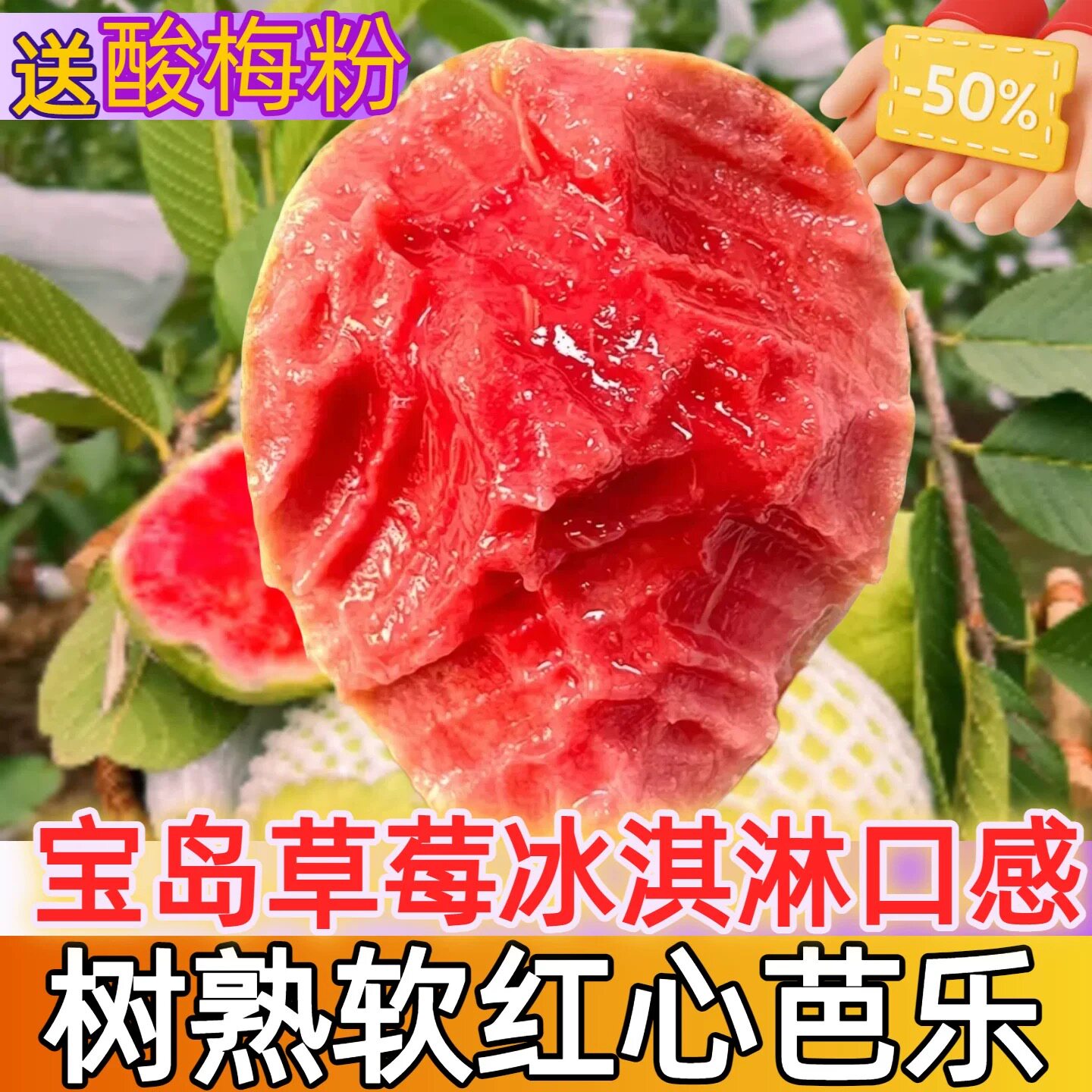 福建漳州红白心双拼番石榴芭乐新番石榴/芭乐