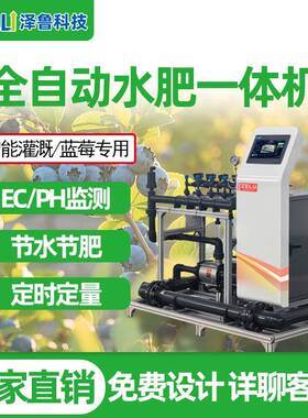 水肥一体机蓝莓精量农业全智能果园农田大棚过滤滴喷灌溉施肥设备