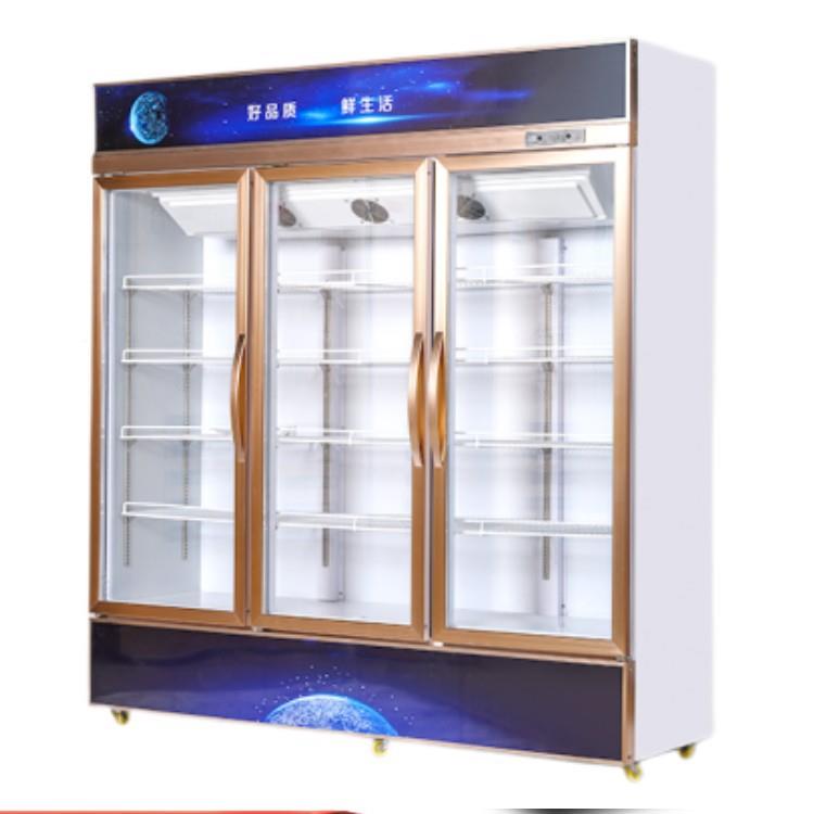立商EXS式冷柜展示柜双门蔬菜水果冰柜铜管冷饮饮料柜保鲜用藏柜