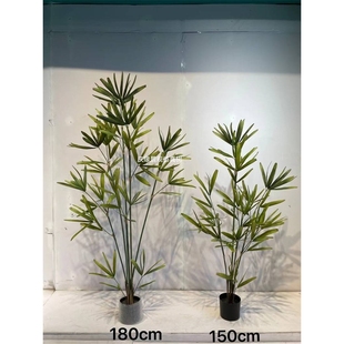 仿真棕竹盆栽五指葵金山棕仿生绿植竹子中式禅意室内客厅装饰摆件