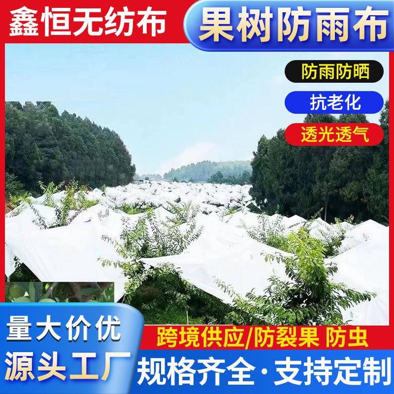 樱桃李子防雨布枇雨杷果白防色防雨布晒防虫水园果树专用遮布果树