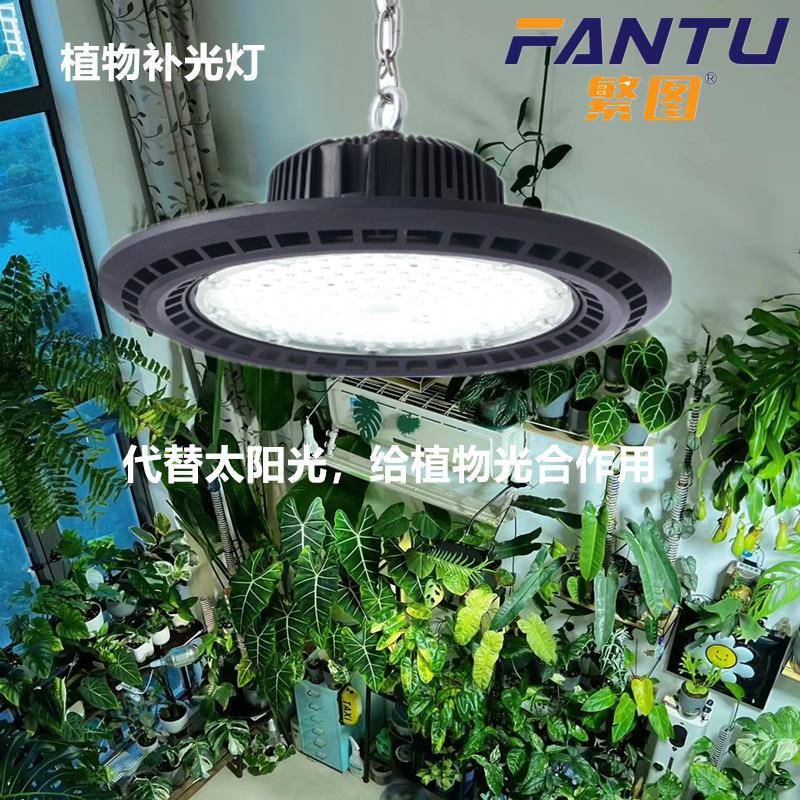 棚植物补物光灯室内月季AIK绣球绿大植多肉卉花仿太阳全光谱植生
