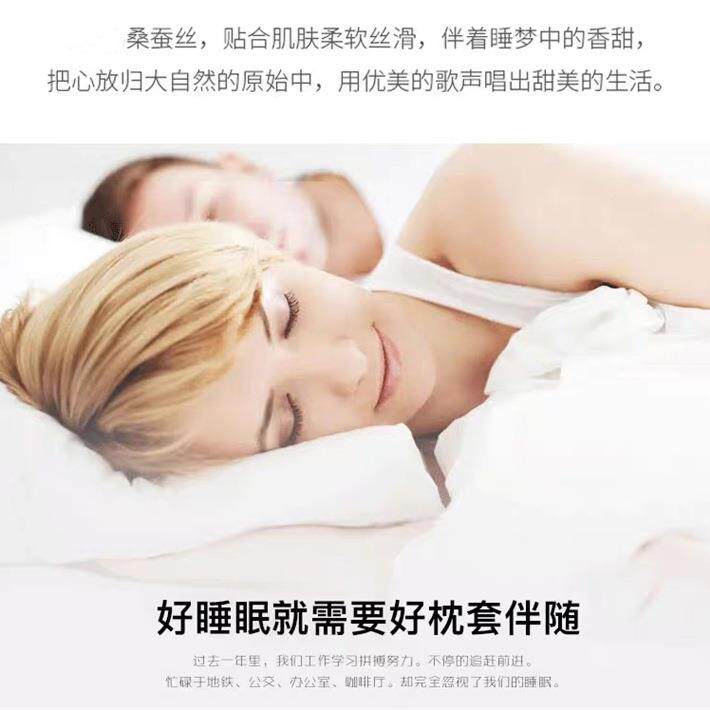 出口真丝枕巾桑丝蚕单冰10006870丝枕套一对装丝绸防枕头人皮螨