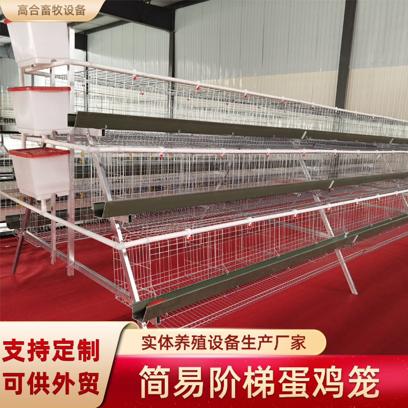 A阶梯蛋鸡笼家用养殖多层鸡舍养鸡冷镀方管角铁食槽水槽蛋鸡笼子