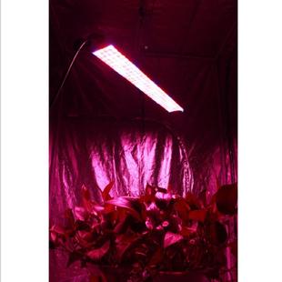 LED植物灯花长条0.6米84W贴片植物菜补光灯卉型蔬专用JRM跨境热卖