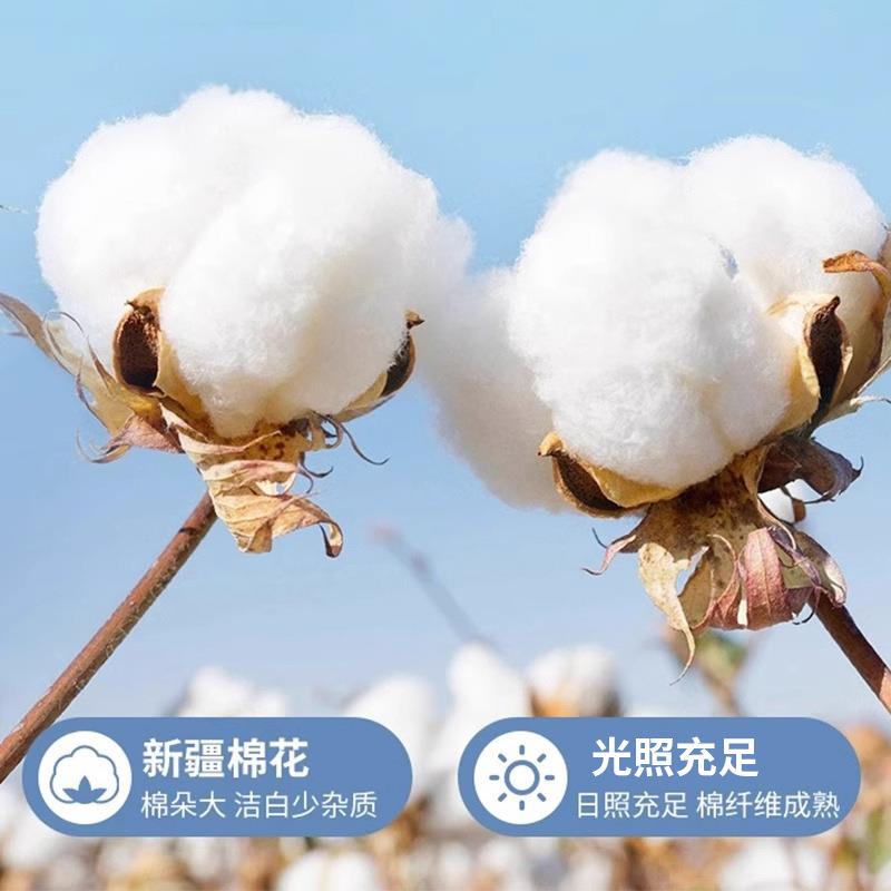 纯棉20250318被单件2025款全棉00被罩单人1501x200x23新0被单套独