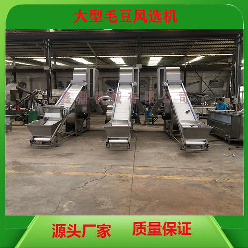 毛豆清洗流水线鲜毛豆加工清洗设备毛豆加工专业设备速冻毛豆