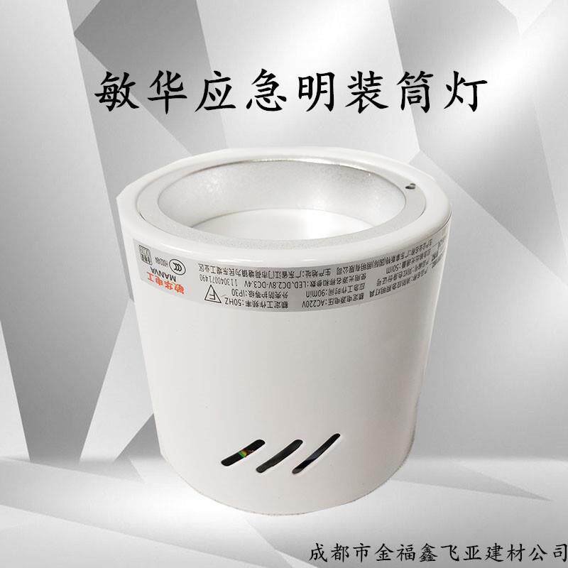 敏华应急明装筒灯3寸4寸5寸6寸楼道走廊商场写字楼应急照明灯