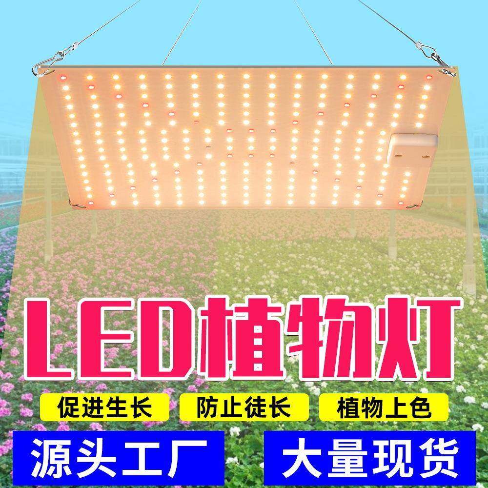 谦润照明植物补光灯LED量子板生长灯全光谱室内大棚育苗种植灯50w,农用物资,其他肥料,淘宝优惠券,粉丝福利购,淘宝优惠卷