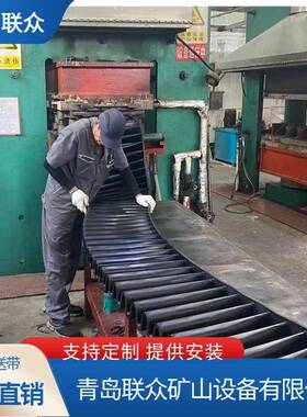 供应挡边裙边带S120(4.5+1.5)*100EP200聚酯橡胶波状输送带